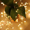 KINGCOO Cluster Fairy Lights with Remote, Waterproof 50LED Silver Wire
