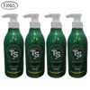 TS Gold Plus TS Shampoo 500g 4 dj / TS 골드플러스 티에스 샴푸 500g 4개 dj