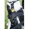 Brody The Dog heavy duty dog harness, for Medium and