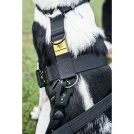 Brody The Dog heavy duty dog harness, for Medium and Large dogs, no pull, adjustable and comfortable (Black, Medium)