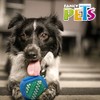 Fancy Pets Juguete Dental para Perro en Forma de Cubo