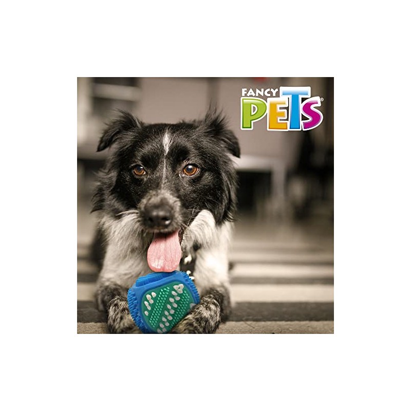 Fancy Pets Juguete Dental para Perro en Forma de Cubo