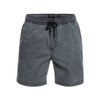 Quiksilver Taxer Ws Men's Shorts
