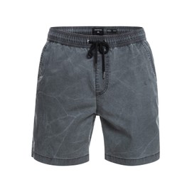 Quiksilver Taxer Ws Men's Shorts