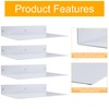 RealPlus Metal Floating Shelf Wall Mounted (12 inch x 8