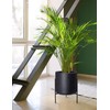 D'vine Dev Modern Black Plants Pot Cylinder Planter with Heavy