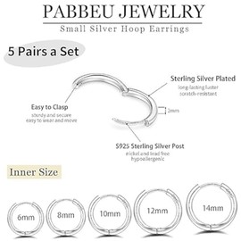 RSYHVG Hoop Earrings 5Pairs Silver Hoops Earrings for Women Hypoallergenic Tiny Hoop Earrings Sleeper Cartilage Mini Small Hoop Earrings for Men Women 6/8/10/12/14mm