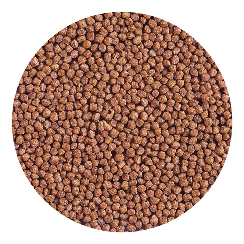 Hikari Cichlid Gold Floating Baby Pellets for Pets, 8.8-Ounce