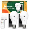 Neporal MagicGlow Rechargeable Solar Light Bulbs with Remote, USB+Solar Rechargeable