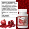 Pomegranate Extract 250mg 90c [1 bottle] by Total Natural, Kidney