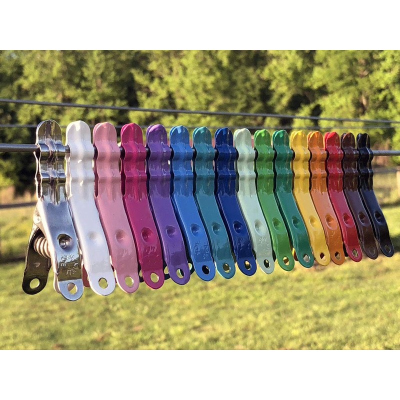 Henry Berry & Dairy Extreme Colour Clothespins - Stainless Steel