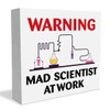 Mad Scientist Decorations Classroom Science Sign, Chemistry Laboratory Classroom Wooden