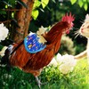 TUKEVA Chicken Training Harness, Comfortable Chicken Training Harness, Adjustable Chicken