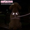 PUPTECK Dog Harness Collar and Leash Set, Adjustable No Pull