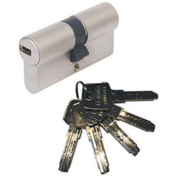 ABUS EC550 Profile Double Cylinder 28/34 mm with 5 Keys