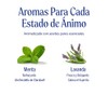 Dr. Bronner's | Set de regalo con 2 best sellers: