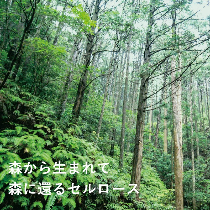 Eoct Ecomfort House Sponge Wipe, Colander, Kata Kata Bear