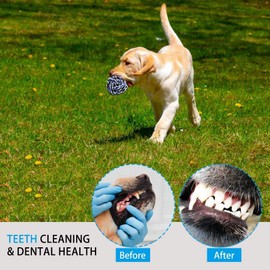 BSJ ASNI Large Tough Dog Rope Chew Toys for Aggressive Chewers Teething Toys for Puppies Bulk Dog Toy Set for Medium Large Breeds