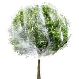 Large Fruit Tree Netting Cover with Drawstring,Bird Plant Barrier Flower Fruit Mesh Screen for Preventing Deer Squirrel for Garden(1, 6.56 * 8.2ft)