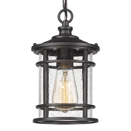 Emliviar Outdoor Hanging Pendant Light - 12 Inch Hanging Lantern for Front Porch, Seeded Glass Shade in Black Finish, XE229H BK