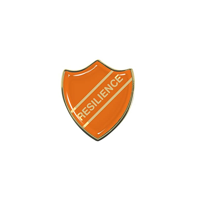 Capricornone Resilience Gel Domed Orange School Shield Badge