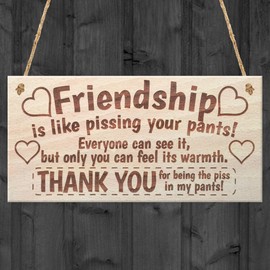 Friendship Sign Best Friend Plaque Gift Shabby Chic Heart & Thank You - READ ME