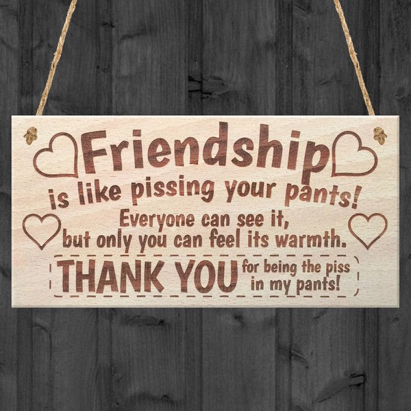 Friendship Sign Best Friend Plaque Gift Shabby Chic Heart &