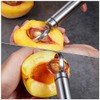 Stainless Steel Fruit Core Remover: Fruit Corer Removing Tool Easy