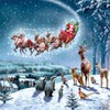 Santas Sleigh Woodland Animals Christmas Card