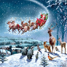 Santas Sleigh Woodland Animals Christmas Card