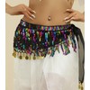 Belly Dance Hip Scarf Sequins Artificial Coins Dance Skirt Wrap