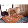 Soggy Doggy 26-Inch by 36-Inch Microfiber Chenille Doormat for Wet