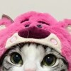 Cat Hat Cute Design Adjustable Soft Comfortable Polyester Portable Pet