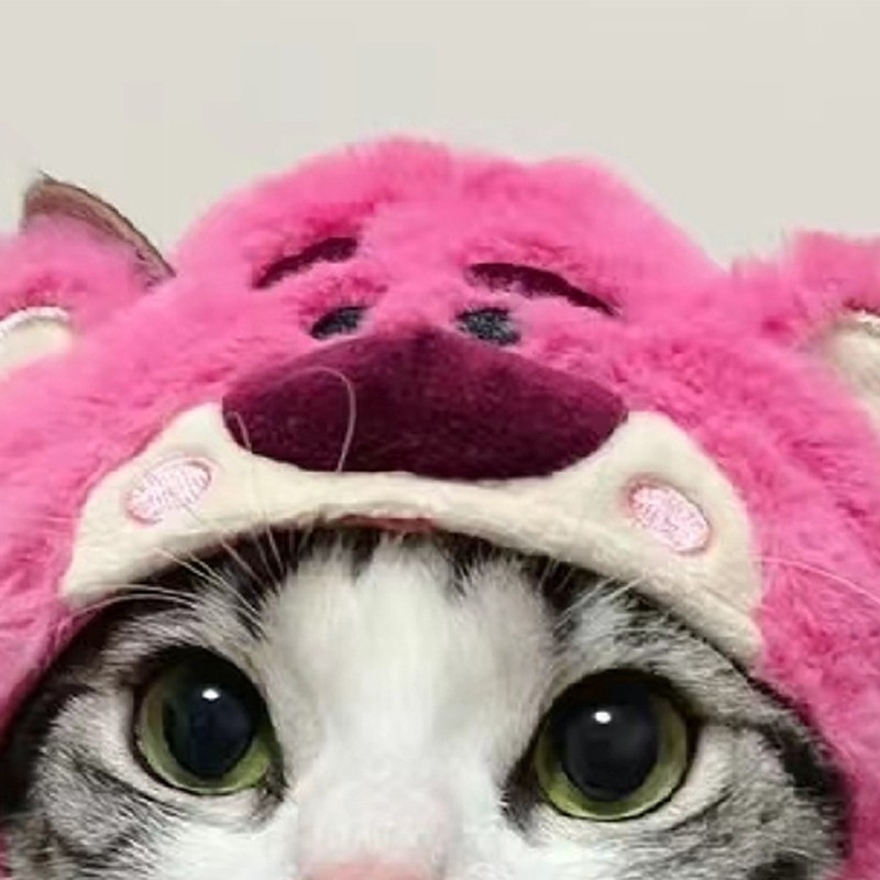 Cat Hat Cute Design Adjustable Soft Comfortable Polyester Portable Pet