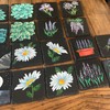 MOUYAT 30 Pack 4x4 Inch Black Slate Plates, Square Slate