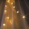 myCozyLite LED String Lights Plug in, Globe String Lights Indoor