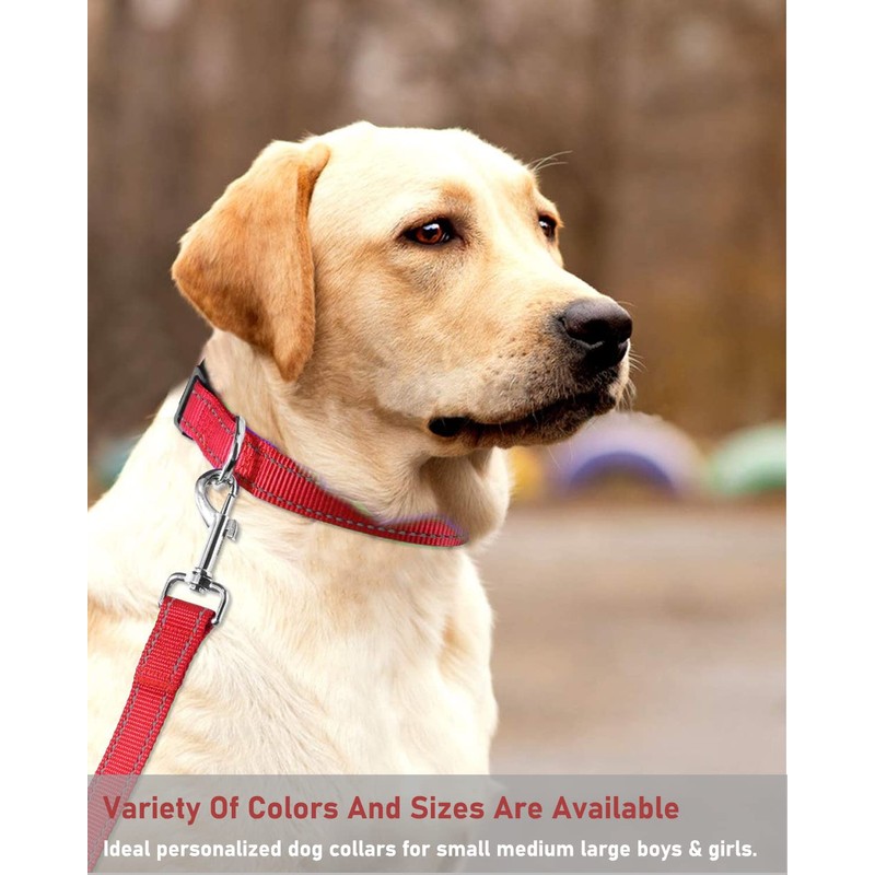 Reflective Dog Collar with Buckle Adjustable Safety Nylon Collars for