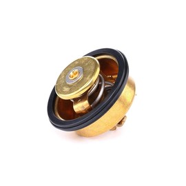 RIDEX Thermostat + Gasket