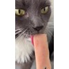 Kit 50 Premios Para Gato Cuidado Renal Probióticos Salmon