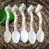 Set of 02 Spoons Shell Spoon Mother of Pearl Caviar