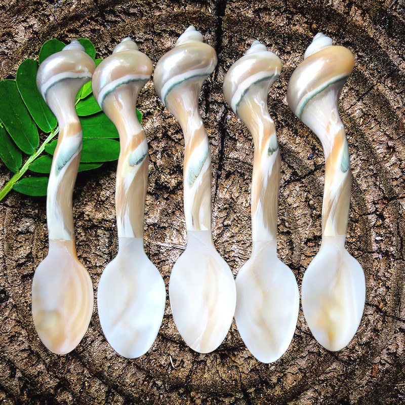 Set of 02 Spoons Shell Spoon Mother of Pearl Caviar