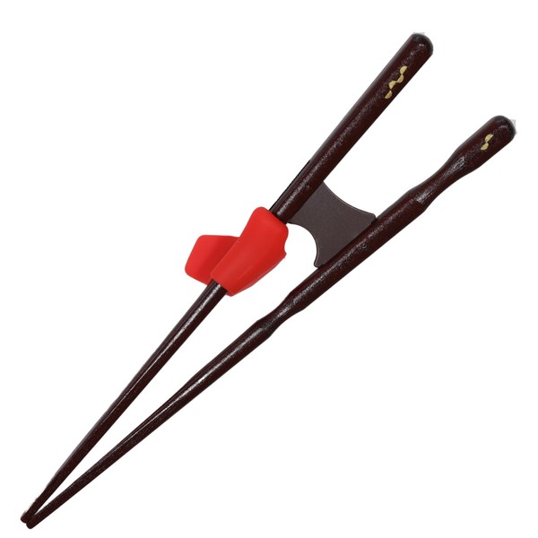 FlaColle Genius (You Can Experience the Correct Way to Hold