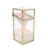 L-Lei Makeup Brush Holder with Lid,Clear Glass Makeup Brush Organizer