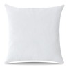Artscope Luxury Velvet Pillow Covers Decorative Square Pillowcases Soft Solid