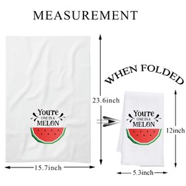 PLITI You Are One in a Melon Novelty Kitchen Towels with Sayings Flour Sack Cotton Hand Towel Dish Towel Tea Towel (One in melon towelU)