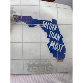 Saltier Than Most Florida Vinyl Sticker