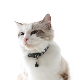 Purple Small Dog Collar with Bell Leash Set, Cat Collar with Bell Puppy Collar Nylon Soft Adjustable Buckle for XXS XSmall Tiny Boy Girl Pets Female Kitten Yorkie Chihuahua X-Small