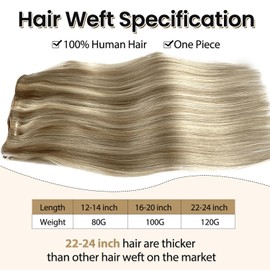 Sew in Human Hair Extensions 24” 120G Hand Tied Weft Hair Extensions Human Hair 18/60 Ash Blonde to Platinum Blonde Highlights Genius Weft Human Hair Weft Extensions Remy Hair Weave Bundles for Women