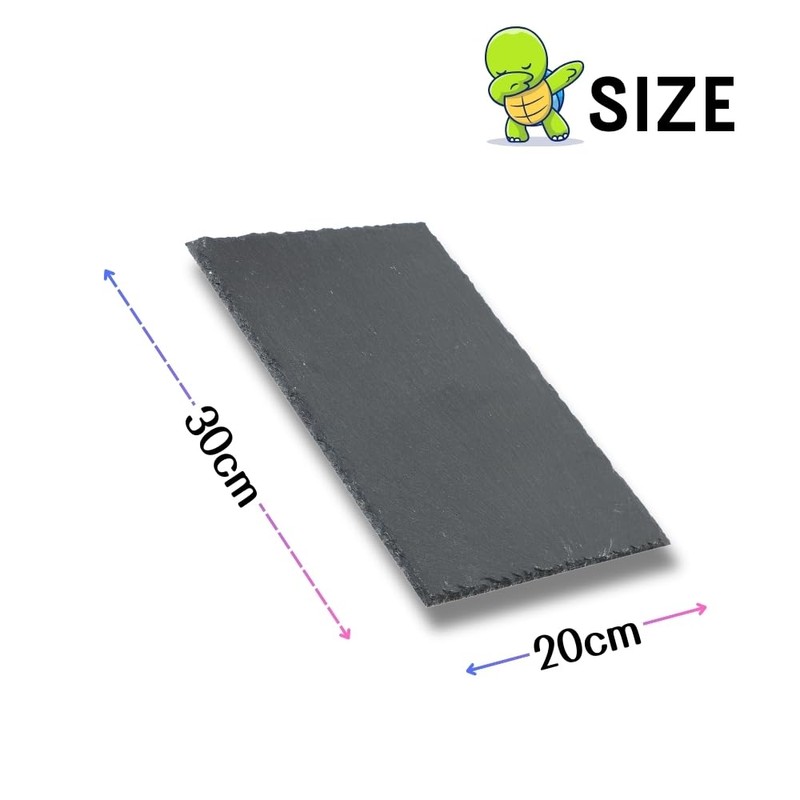 JP Number Turtle Drying Board, Food Plate, Turtle, Nail Sharpening