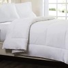 Circles Home Twin Size Comforter - Soft and Breathable Comforter